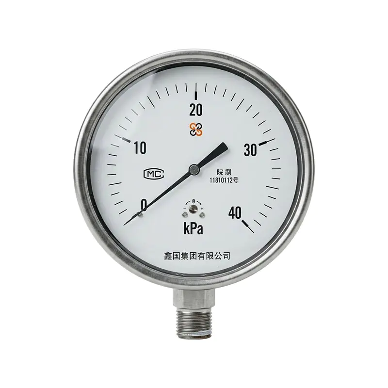 Manômetro de caixa de diafragma de aço inoxidável XG / YE-100B Manômetro de caixa de diafragma de aço inoxidável XG / YE-100B